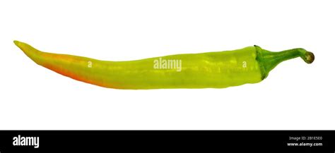 Hot Chili Pepper Isolated On White Background Stock Photo Alamy