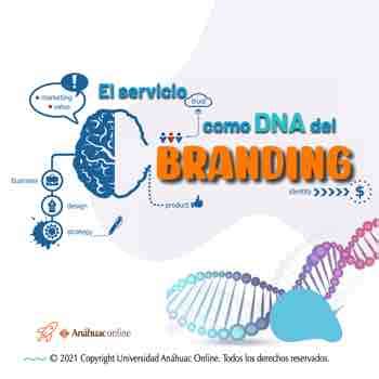 El Servicio Como Dna Del Branding