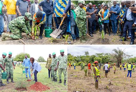 CAMPAGNE NATIONALE DE REBOISEMENT La Barre Des 14 Millions De Plants