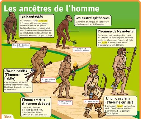 Les ancêtres de l homme Histoire cm1 Chronologie histoire Mon petit