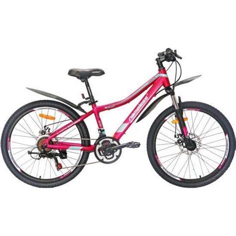 Велосипед Nameless J4000DW 24" синий, розовый (J4000DW-PN/BL-13 ...
