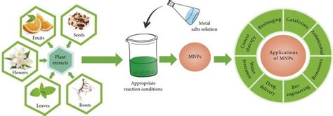 A Schematic Diagram Representing The Green Synthesis Of Nanomaterials Download Scientific