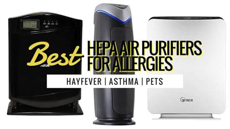 Best HEPA Air Purifiers for Allergies [2022 UK Guide]