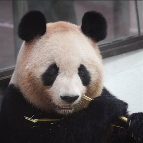 produk toko barang random shopee indonesia