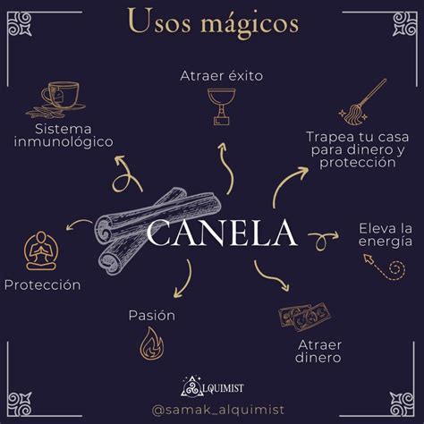 Canela Usos M Gicos Libro De Las Sombras Echizos Y Conjuros