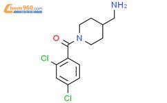 Aminomethyl Piperidin Yl Dichlorophenyl Methanone