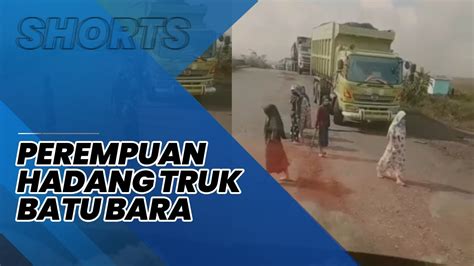 Viral Aksi Perempuan Adang Truk Batu Bara Di Banua Anyar Kalsel Protes