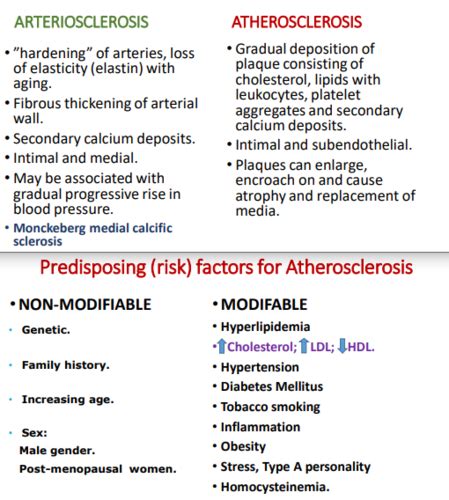 Atherosclerosis Flashcards Quizlet