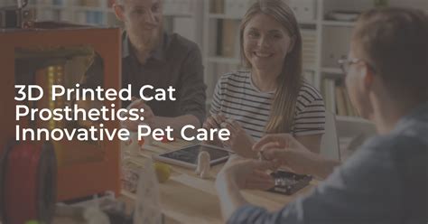 3d Printed Cat Prosthetics Innovative Pet Care