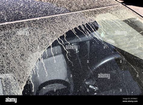 Pollen Covered Car Hi Res Stock Photography And Images Alamy