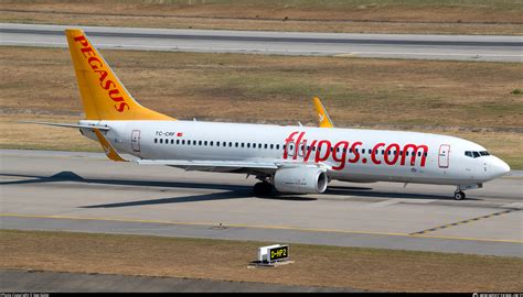 TC CRF Pegasus Boeing 737 82R WL Photo by Ege Güler ID 1625117