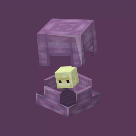 Shulker Minecraft Texture Pack