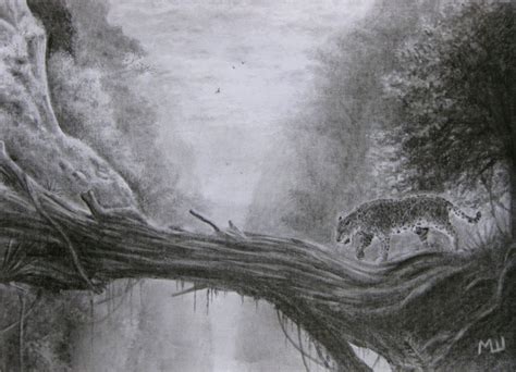 Forest Pencil Sketch At Explore Collection Of