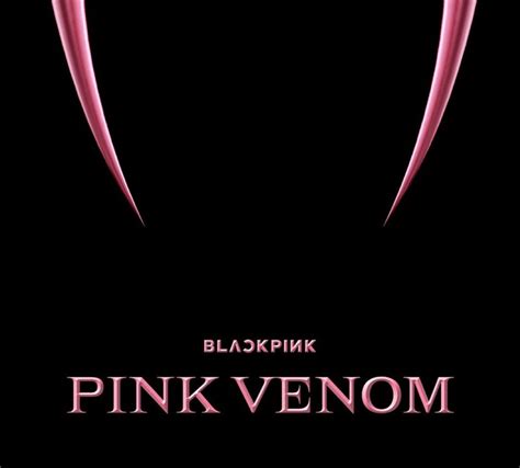 젠바 on Twitter RT blackpinkbabo BLACKPINK PINK VENOM 8 19