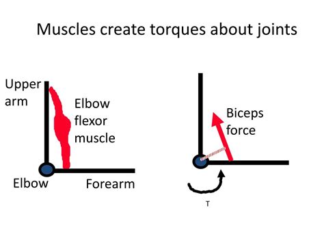 PPT What Is The Torque T Due To Force F F 100N Distance To F R F