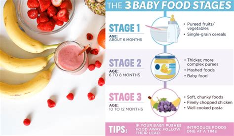 Baby Food Stages and Tips for feeding: A Comprehensive Guide