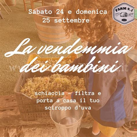 Alla Fattoria Di Licola Va In Scena La Vendemmia Dei Bambini