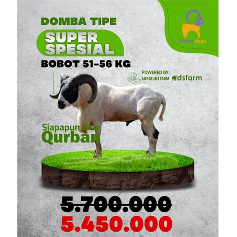 Jual Hewan Qurban Agriquni Farm Kambing Domba Super Jantan Garut