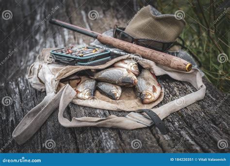 The Fish is Caught in a Tenkara. Fishing Gear Stock Image - Image of recreation, gear: 184220351