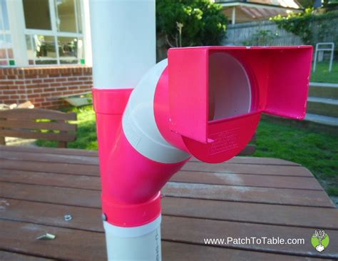 The Best Chicken Feeder 8 Feeders Compared Backyard Chickens