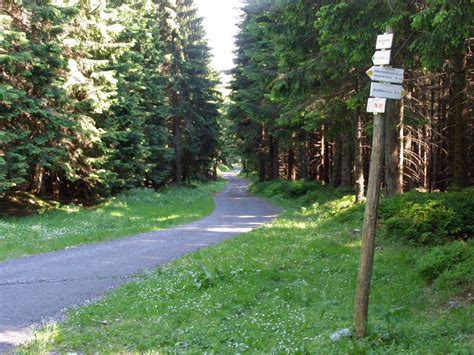 Fotogalerie turistické rozcestí Pod Jelenkou turistické rozcestí Pod