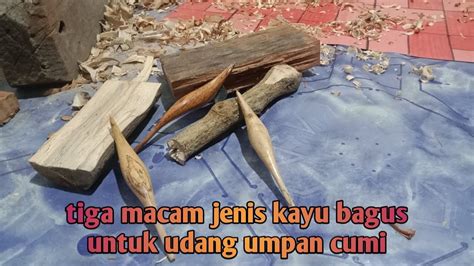 Tiga Jenis Kayu Yang Sangat Bagus Untuk Udang Udang Umpan Cumi YouTube