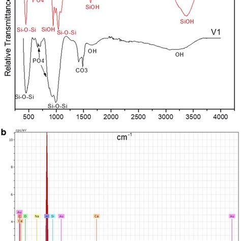 A Fourier Transform Infrared Spectrophotometry Results B Download