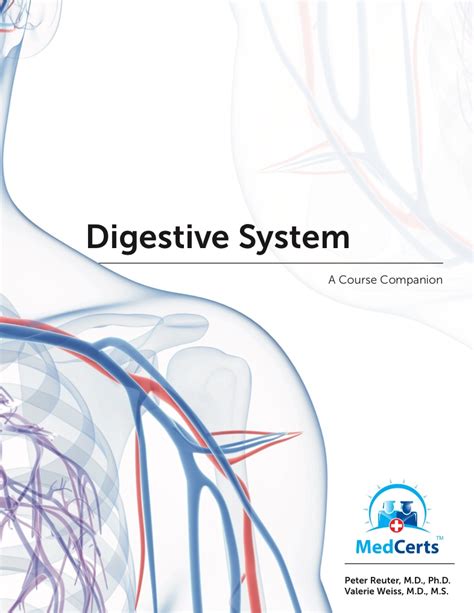 Module 14 Digestive System Notability Gallery