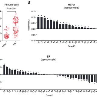 HER2 and ER gene expression in single cells. A. Distribution of the ...