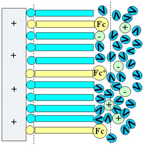 Schematics Of The Electrode SAM Electrolyte Junction Including A