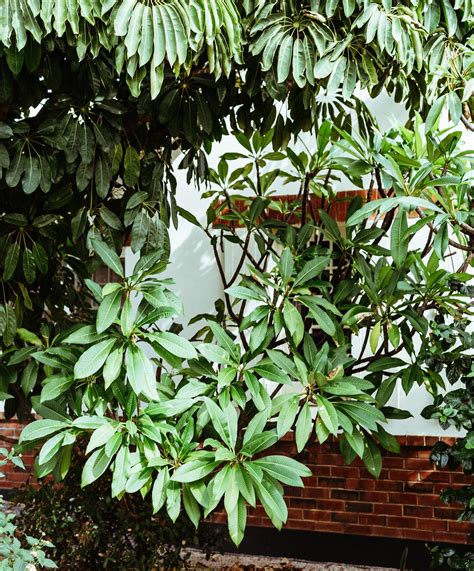 McCammon Office Profile by The Fotobase Group - Issuu