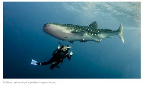 Premios Oscar del Turismo cuáles son los destinos más atractivos de América Latina Diario