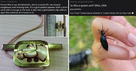 People Are Asking For Help Identifying Strange Objects They Found The