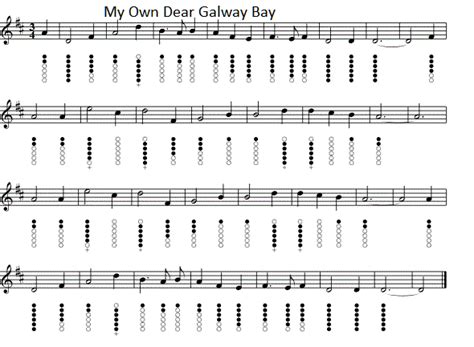 My Own Dear Galway Bay Dolores Keane lyrics and guitar chords - Irish folk songs