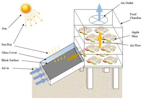 Shall We Get To Know Some Facts Regarding Types Of Solar Dryers