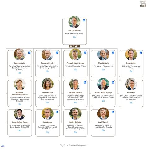 Coca Cola Company Organizational Structure Chart Organizational