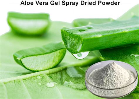 Spray Dried Aloe Vera Gel Powder At Kilogram Aloe Vera Powder