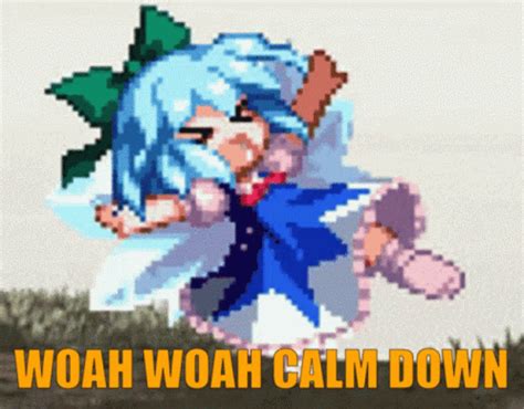 Cirno Cirno Discover Share Gifs