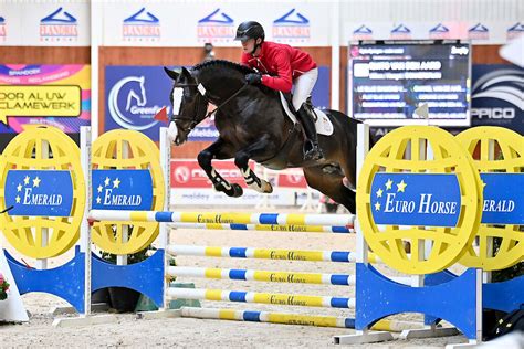 Galop Be Record Aantal Hengsten Aan De Start Van Lannoo Belgian