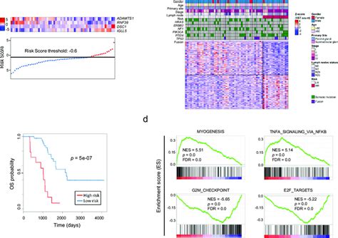 Four Gene Prognostic Signature Of Sdc A Four Gene Expression And Risk