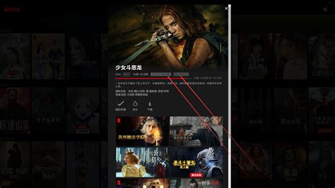 【奈飞 网飞 Netflix】1k和2k显示器怎么解锁4k画质 保姆级教程 哔哩哔哩