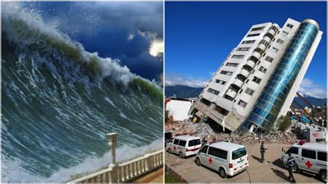 Anillo De Fuego Y Tsunami En La Costa Oeste Todo Lo Que Debes Saber Sobre El Impacto Del