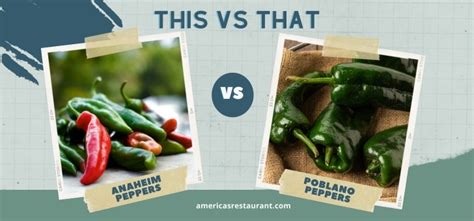 Anaheim Vs Poblano Peppers Which Is A Better Option