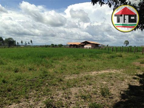 Fazenda No Bairro Zona Rural Paragominas Pa Pre O De Venda R