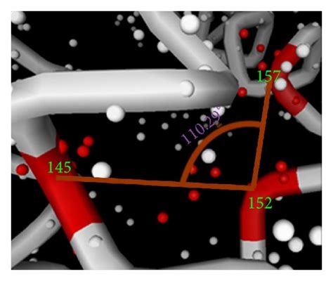 3d Structures Of The Homeodomain In Different Clades Of Woxs All The Download Scientific