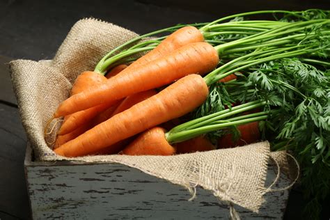 Como Plantar Cenoura Em Casa Em Vaso E Dicas Para Um Bom Cultivo