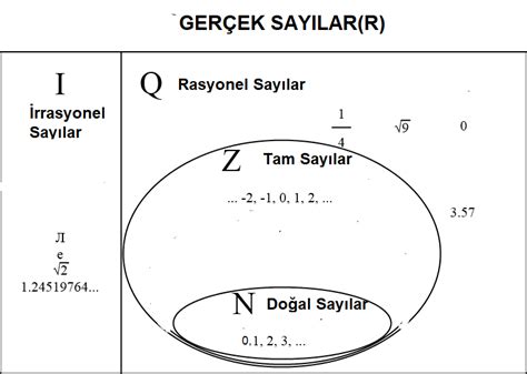 Sayı Kümeleri Konu Anlatımı Ve Örnek Soru Çözümü Kunduz Kunduz