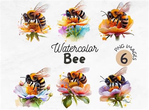 Watercolor Bee PNG Bee Clipart Honeybee Clipart Summer Clipart Insect ...