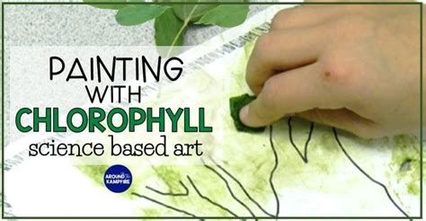 Chlorophyll Paintings Incorporating Art In Science Around The