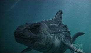 Dinoshark | Movie Monster Wiki | Fandom